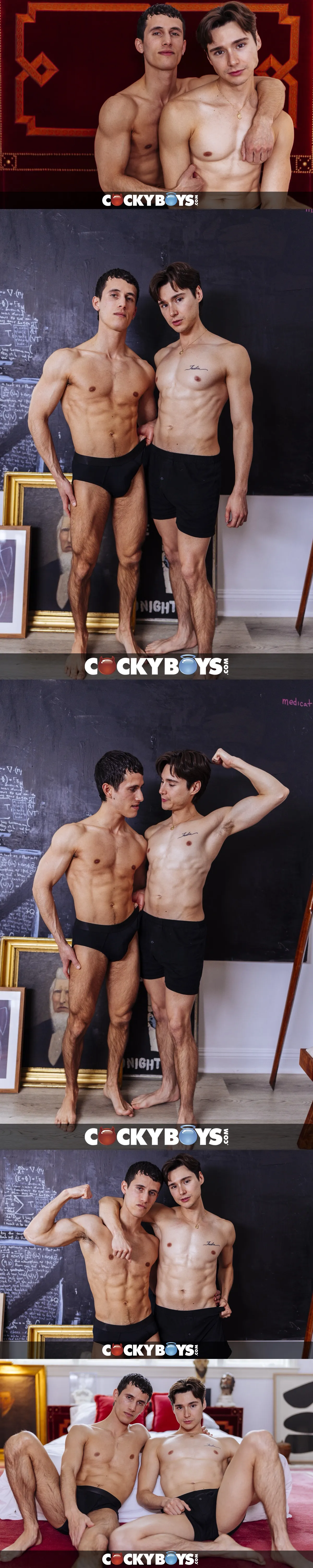 Flip-Fuck Adventure with Leo Grand and Seth Cain