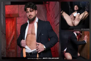White-Collar Gloryhole: Heath Halo and Hairy Wolf
