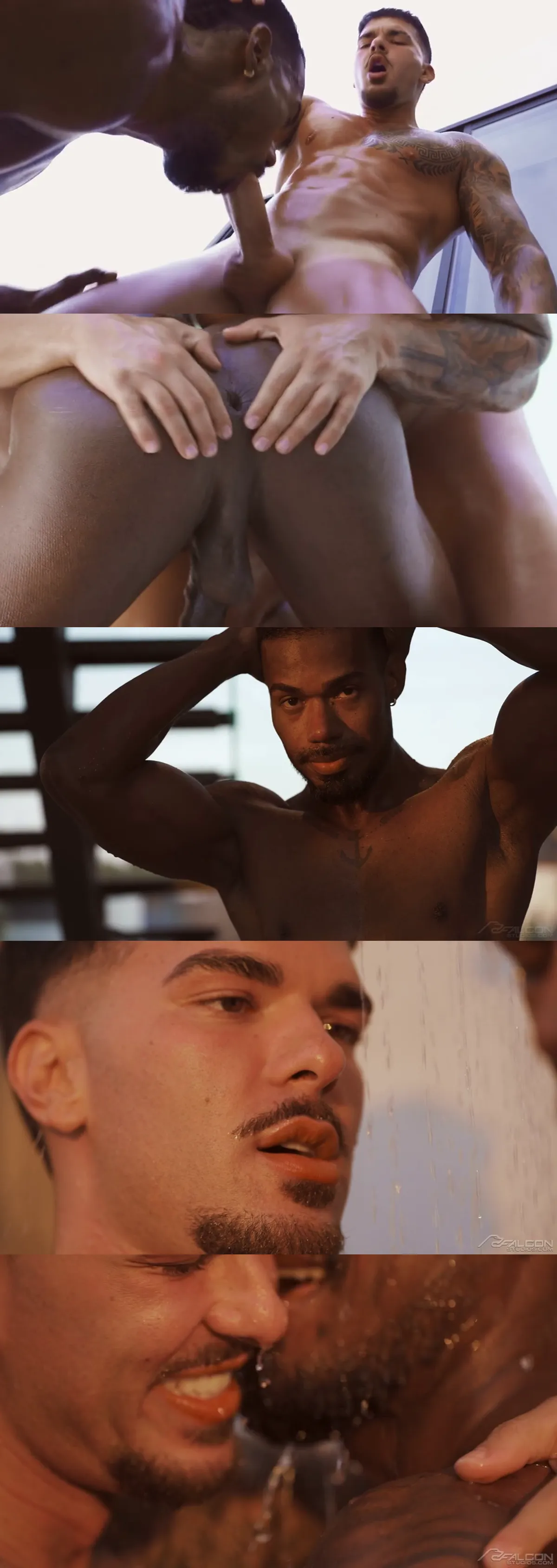 Alejo Love and Pol Prince Fuck Poolside